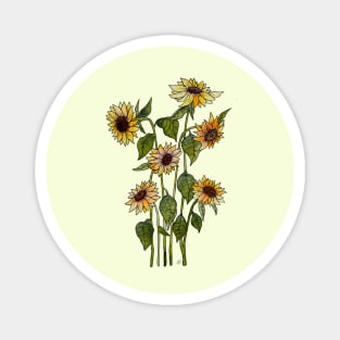 Sunflowers Watercolour Magnet